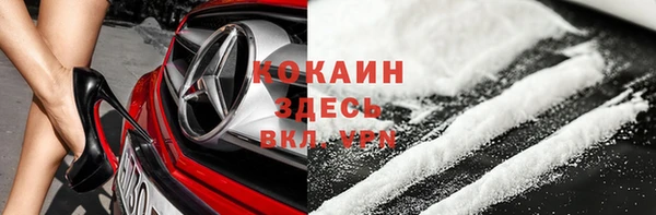 мдпв Верхний Тагил