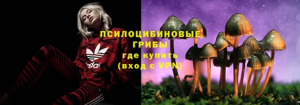 дмт Верея