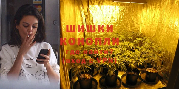 дмт Верея
