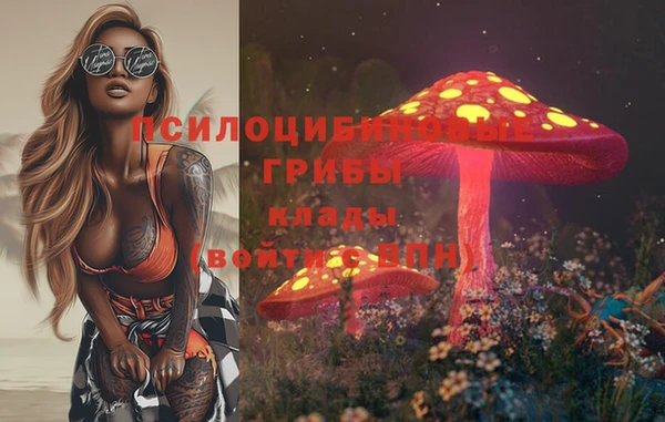 кокс Пересвет