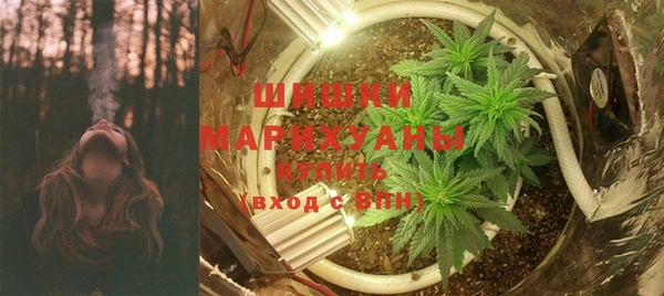 мдпв Верхний Тагил