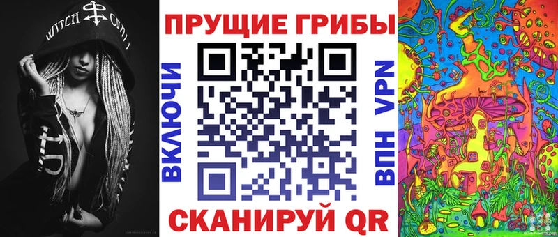 Галлюциногенные грибы ЛСД Лахденпохья