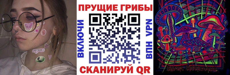 Галлюциногенные грибы Cubensis  Купить закладки  Лахденпохья 